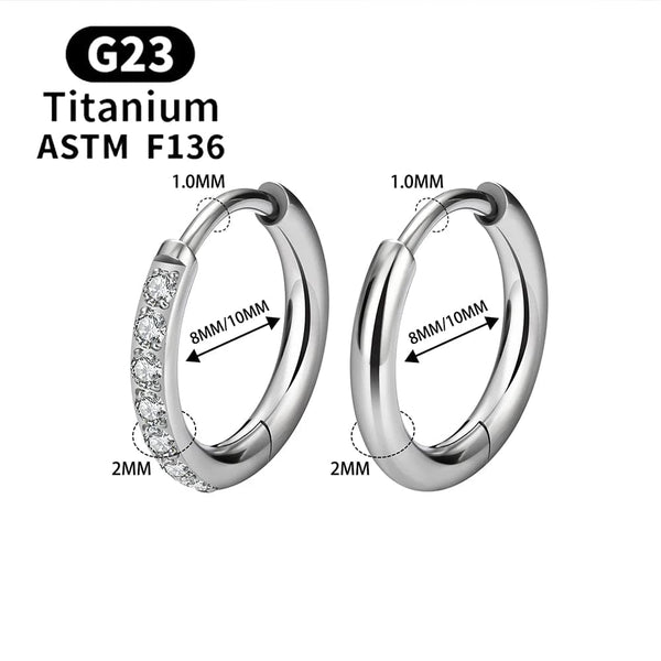 Planet Gates 2/20PCS G23 Titanium Earring Hoop CZ Hinged Segment Round Nose Ring for Women Ear Tragus Cartilage Helix Daith Piercing Jewelry