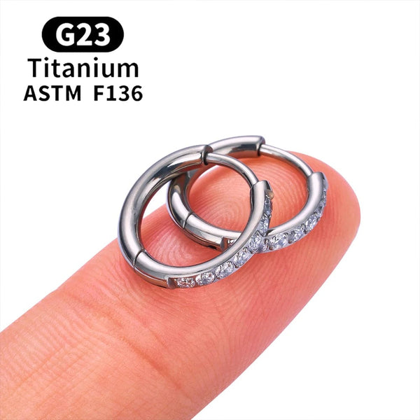 Planet Gates 2/20PCS G23 Titanium Earring Hoop CZ Hinged Segment Round Nose Ring for Women Ear Tragus Cartilage Helix Daith Piercing Jewelry