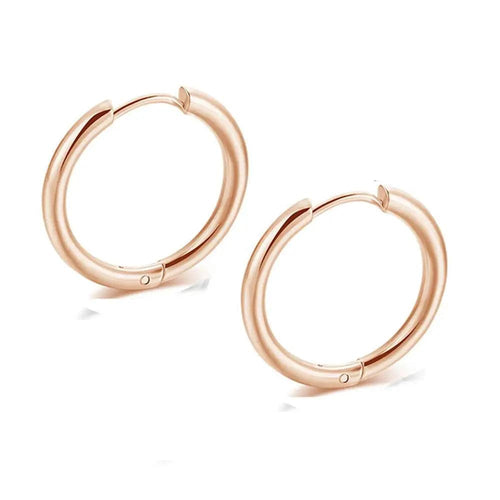 Planet Gates 2.5mm rose gold / 8mm 2PC /Set Stainless Steel Small Hoop Earrings for Women Men Gold Color Black Circle Thick Ear Ring Huggie Earrings Hoop Piercing