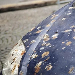 Planet Gates 2 Doors UTV 210D Oxford Cloth Protect Utility Vehicle Storage Cover from Rain Dirt Rays-Reflective for Can Am Maverick X3