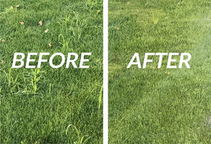 Planet Gates 2 IN 1 Manual Weed Remover Tool Grass Rooting Loose Soil Hand Weeding Removal Puller Garden Shovel Gardening Tool Dropshipping