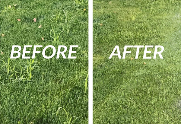 Planet Gates 2 IN 1 Manual Weed Remover Tool Grass Rooting Loose Soil Hand Weeding Removal Puller Garden Shovel Gardening Tool Dropshipping