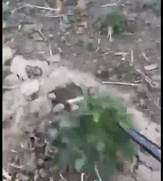 Planet Gates 2 IN 1 Manual Weed Remover Tool Grass Rooting Loose Soil Hand Weeding Removal Puller Garden Shovel Gardening Tool Dropshipping