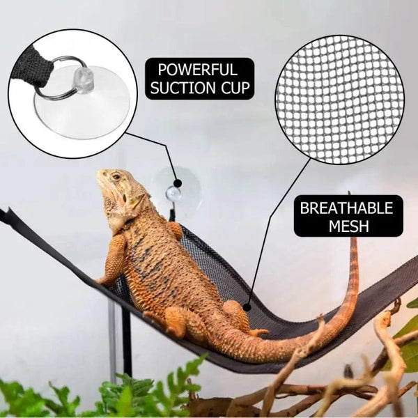 Planet Gates 2 Pack Bearded Dragon Hammock Lizard Lounger Ladder Hanging Bed Accessories Reptile Habitat Terrarium Decoration For Be