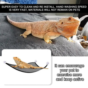Planet Gates 2 Pack Bearded Dragon Hammock Lizard Lounger Ladder Hanging Bed Accessories Reptile Habitat Terrarium Decoration For Be