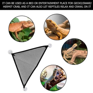 Planet Gates 2 Pack Bearded Dragon Hammock Lizard Lounger Ladder Hanging Bed Accessories Reptile Habitat Terrarium Decoration For Be