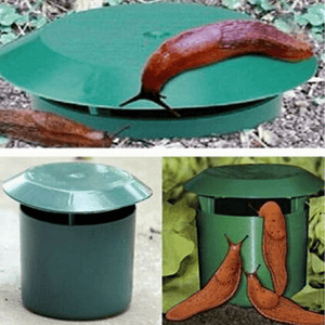 Planet Gates 2 Pieces 2pcs, Garden Slug And Snail Trap Catch Slugs Snails Friendly Environmentally Spider Catcher Reusable Garden Farm Protector