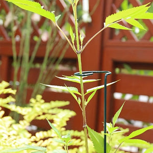 Planet Gates 2 Support Rods 2pcs, Iron Plant Support Pole 39.88cm*6.3cm, Plant Support Stakes, Flower Garden Stakes Plant Stick Supports Cages Ring Hoops