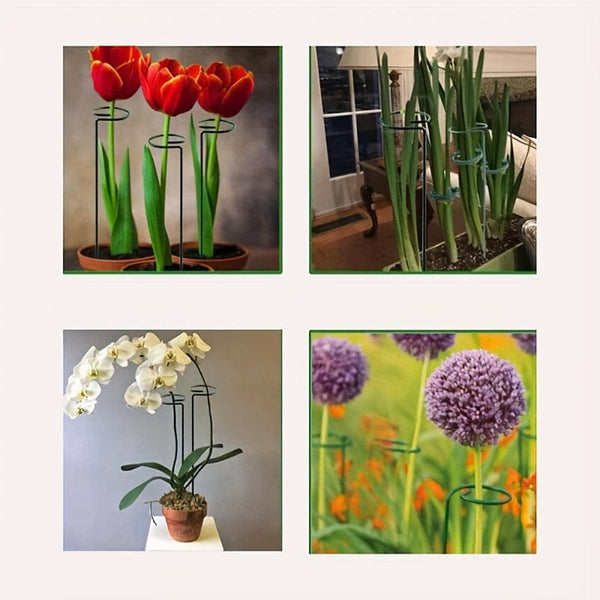 Planet Gates 2 Support Rods 2pcs, Iron Plant Support Pole 39.88cm*6.3cm, Plant Support Stakes, Flower Garden Stakes Plant Stick Supports Cages Ring Hoops