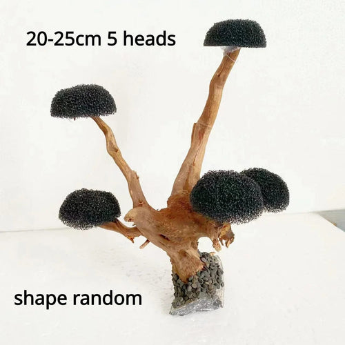 Planet Gates 20-25cm 5 heads Fish Tank Plant Moss Tree Decorations Landscaping Wood Plant Root Driftwood Aquatic Plants Grass Aquarium Accessories (No Moss)