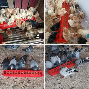 Planet Gates 20/30/40/50cm Double Row 12-28 Holes Poultry Ground Feeder Plastic Clamshell Feeding Chicken Groove Farm Breeding Supplies