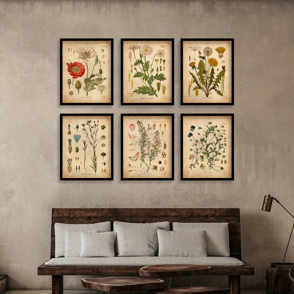 Planet Gates 20.32x25.4 cmes 6pcs Botanical Wall Art Posters, Vintage Botanical Prints, vintage Posters, Prints Wildflower Prints Floral Wall Art, For Home Decor/ Living Room/ Bedroom/ Office/ Hotel/ Bar Decoration, No Frame