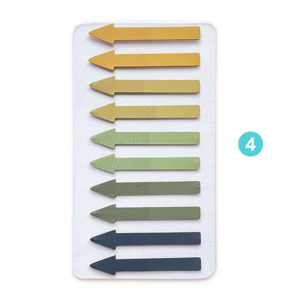 Planet Gates 200 Sheets Transparent Fluorescent Index Tabs PET Arrow Flags Sticky Note for Page Marker Planner Stickers Office School