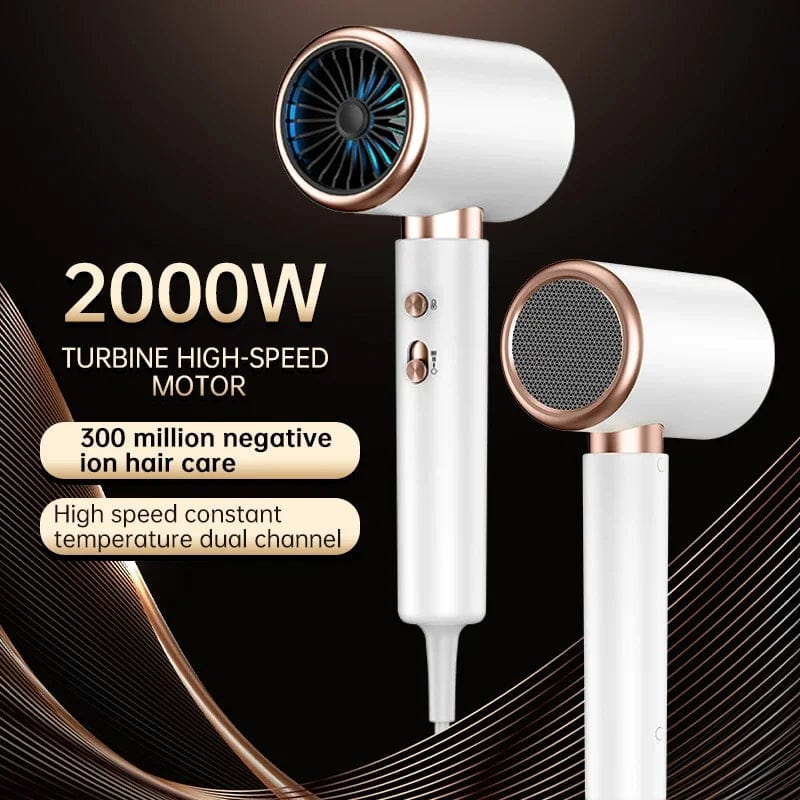 Planet Gates 2000W 5th Gear Professional Hair Dryer Negative Lonic Blow Dryer Hot Cold Wind Air Brush Hairdryer Strong PowerDryer Salon Tool