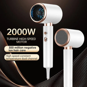 Planet Gates 2000W 5th Gear Professional Hair Dryer Negative Lonic Blow Dryer Hot Cold Wind Air Brush Hairdryer Strong PowerDryer Salon Tool