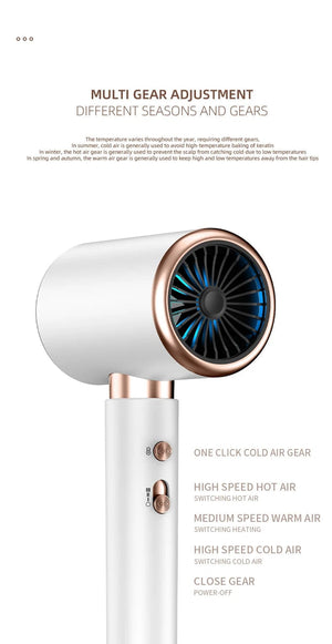 Planet Gates 2000W 5th Gear Professional Hair Dryer Negative Lonic Blow Dryer Hot Cold Wind Air Brush Hairdryer Strong PowerDryer Salon Tool