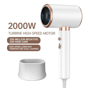 Planet Gates 2000W 5th Gear Professional Hair Dryer Negative Lonic Blow Dryer Hot Cold Wind Air Brush Hairdryer Strong PowerDryer Salon Tool