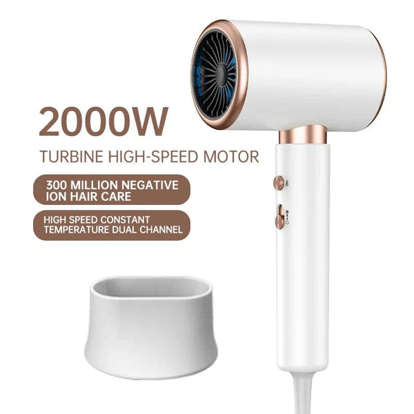 Planet Gates 2000W 5th Gear Professional Hair Dryer Negative Lonic Blow Dryer Hot Cold Wind Air Brush Hairdryer Strong PowerDryer Salon Tool