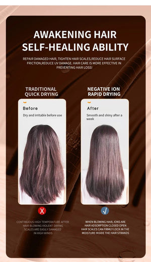 Planet Gates 2000W 5th Gear Professional Hair Dryer Negative Lonic Blow Dryer Hot Cold Wind Air Brush Hairdryer Strong PowerDryer Salon Tool