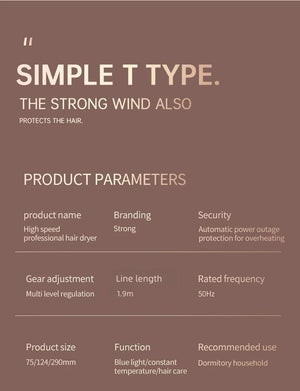 Planet Gates 2000W 5th Gear Professional Hair Dryer Negative Lonic Blow Dryer Hot Cold Wind Air Brush Hairdryer Strong PowerDryer Salon Tool