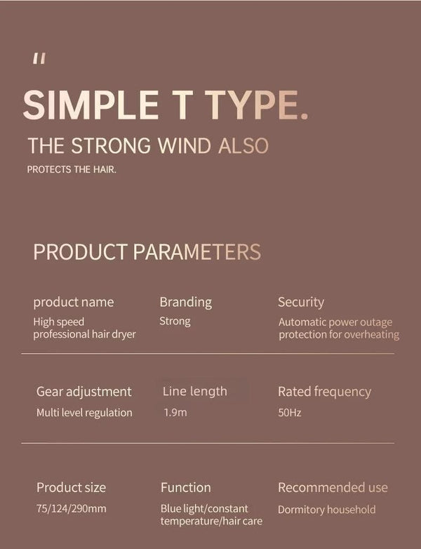 Planet Gates 2000W 5th Gear Professional Hair Dryer Negative Lonic Blow Dryer Hot Cold Wind Air Brush Hairdryer Strong PowerDryer Salon Tool