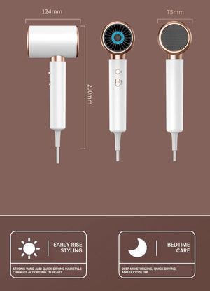 Planet Gates 2000W 5th Gear Professional Hair Dryer Negative Lonic Blow Dryer Hot Cold Wind Air Brush Hairdryer Strong PowerDryer Salon Tool