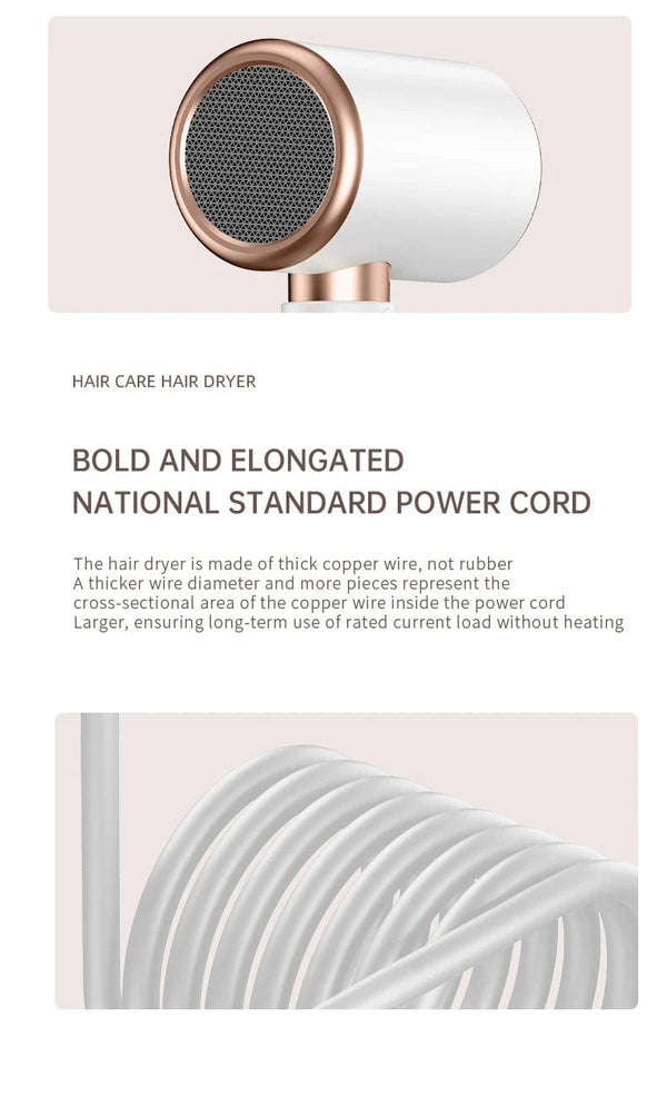 Planet Gates 2000W 5th Gear Professional Hair Dryer Negative Lonic Blow Dryer Hot Cold Wind Air Brush Hairdryer Strong PowerDryer Salon Tool