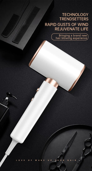 Planet Gates 2000W 5th Gear Professional Hair Dryer Negative Lonic Blow Dryer Hot Cold Wind Air Brush Hairdryer Strong PowerDryer Salon Tool