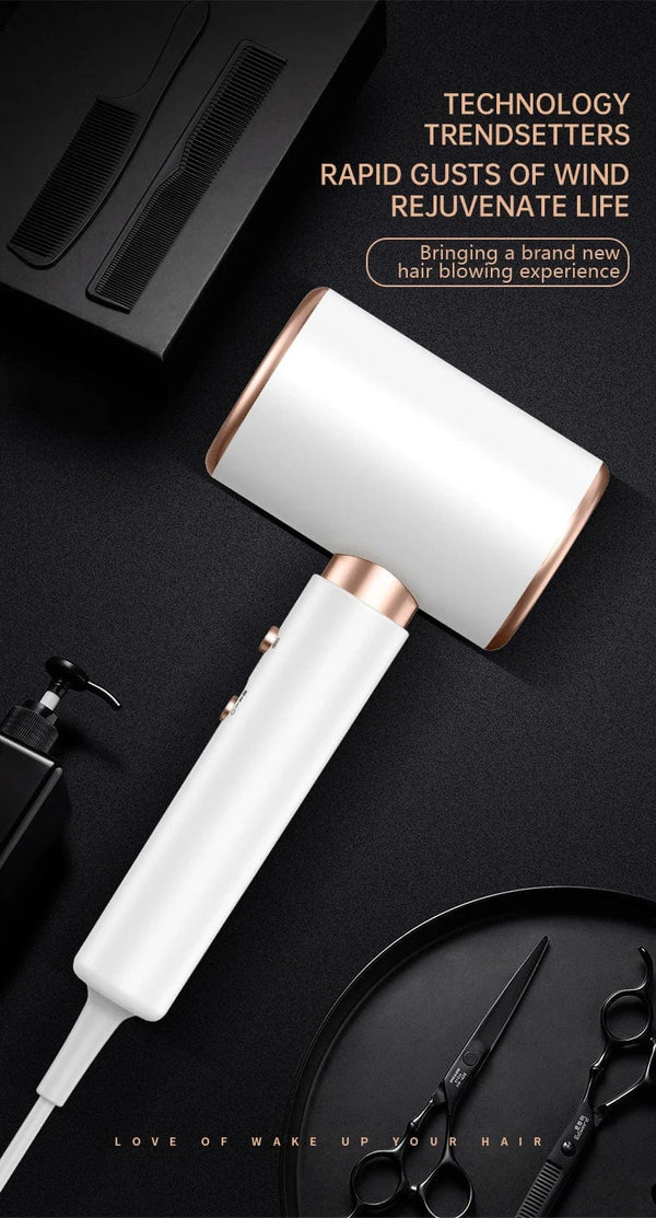 Planet Gates 2000W 5th Gear Professional Hair Dryer Negative Lonic Blow Dryer Hot Cold Wind Air Brush Hairdryer Strong PowerDryer Salon Tool