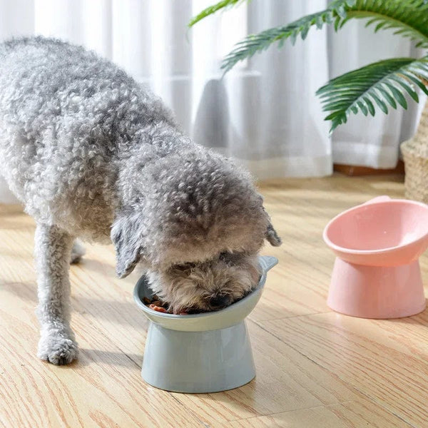 Planet Gates 2023 New Cat Bowl High Foot Dog Bowl 45°Neck Protector Cat Pet Food Water Bowls Pet Feeding Cup Pet Feeder