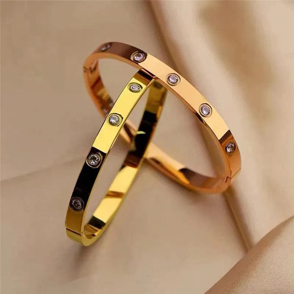 Planet Gates 2023 New Trendy Crystal Love Bangles Cubic Zirconia Bracelets Couple Luxuxy Jewelry Stainless Steel Bangles For Women Gift sl295