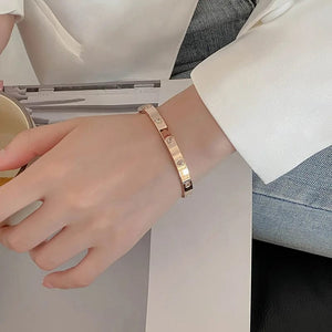 Planet Gates 2023 New Trendy Crystal Love Bangles Cubic Zirconia Bracelets Couple Luxuxy Jewelry Stainless Steel Bangles For Women Gift sl295
