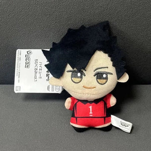 Planet Gates 2024 New 10cm Anime Plush Toy Tobio Kageyama Shoyo Hinata Kuroo Tetsurou Mini Stuffed Toys Pendant Kids Gift