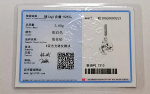 Planet Gates 2024 New in Hot Sale Original Charm Beads Fit Pandach Bracelet For Women 925 Silver Glow Discoloration Pendant Bead Jewelry Gift