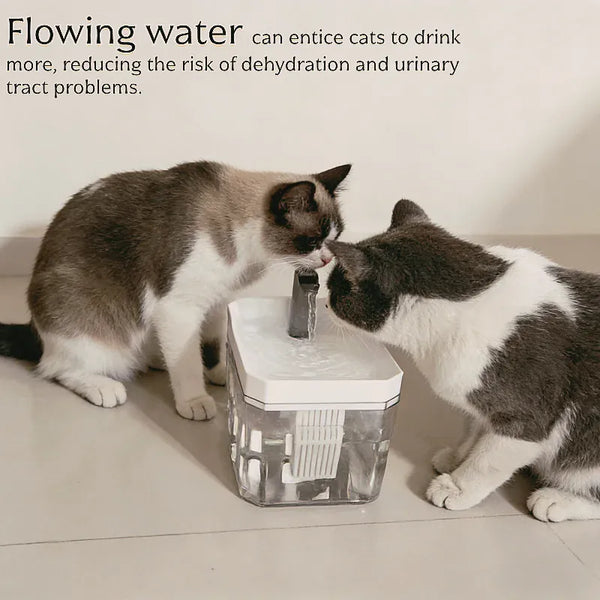 Planet Gates 2026 new Cat Automatic Water Dispenser Drinking circulating filters flowing water intelligent pet automatic water dispenser