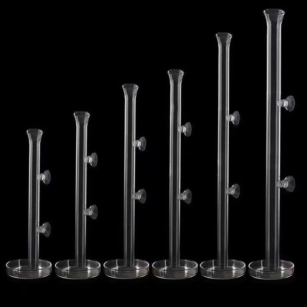 Planet Gates 20cm feeder set Thickened Glass Aquarium Feeder Tube Dish Transparent Fish Tank Shrimp Snail Food Feeder Bowl Aquarium Fish Feeding Accessories