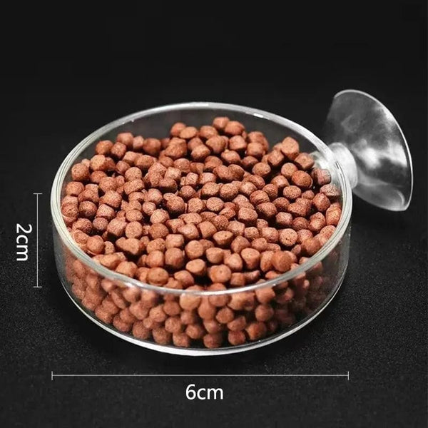 Planet Gates 20cm feeder set Thickened Glass Aquarium Feeder Tube Dish Transparent Fish Tank Shrimp Snail Food Feeder Bowl Aquarium Fish Feeding Accessories