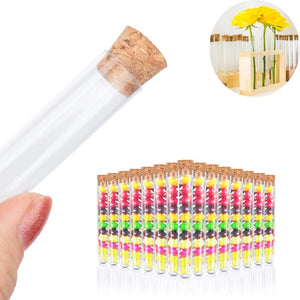 Planet Gates 20Pcs 12x100mm Transparent Laboratory Clear Plastic Test Tubes With Corks Caps School Lab Supplies, Wedding Favor Gift Tube