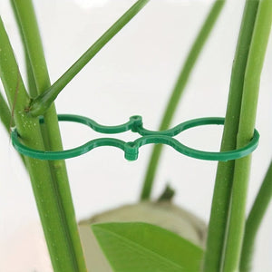 Planet Gates 20pcs Plastic Garden Vine Strapping Clips Tie Plant Bundled Buckle Ring Holder Garden Tomato Plants Stand Support Tool