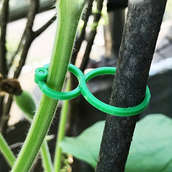 Planet Gates 20pcs Plastic Garden Vine Strapping Clips Tie Plant Bundled Buckle Ring Holder Garden Tomato Plants Stand Support Tool