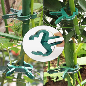 Planet Gates 20pcs Reusable Garden Greenhouse Plant Fixed Clips - Perfect for Supporting Your Plants, Vines & Flowers!