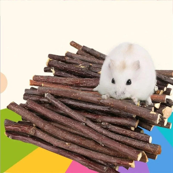 Planet Gates 20pcs small Professional Hamster Rabbit Teeth Grinding Apple Tree Stick Minerals Molar Stone Toys for Chinchilla Hamster PetToys accessories
