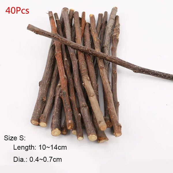 Planet Gates 20pcs small Professional Hamster Rabbit Teeth Grinding Apple Tree Stick Minerals Molar Stone Toys for Chinchilla Hamster PetToys accessories