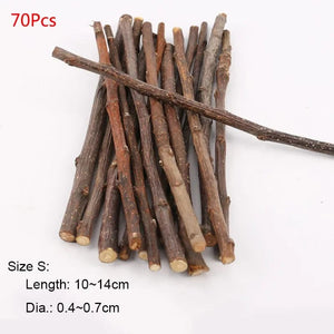 Planet Gates 20pcs small Professional Hamster Rabbit Teeth Grinding Apple Tree Stick Minerals Molar Stone Toys for Chinchilla Hamster PetToys accessories