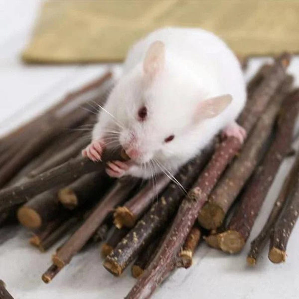 Planet Gates 20pcs small Professional Hamster Rabbit Teeth Grinding Apple Tree Stick Minerals Molar Stone Toys for Chinchilla Hamster PetToys accessories