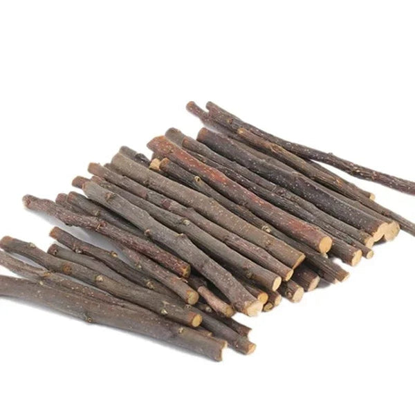 Planet Gates 20pcs small Professional Hamster Rabbit Teeth Grinding Apple Tree Stick Minerals Molar Stone Toys for Chinchilla Hamster PetToys accessories