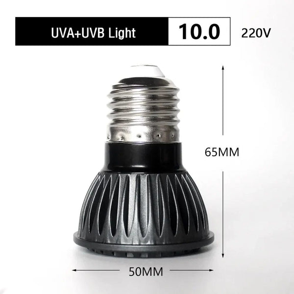 Planet Gates 220V  10.0 UVA + UVB LED Reptile Light Turtle Basking Platform Full Spectrum Sun Lamp Sunbathe Heat Lamp for Lizard Reptiles and Amphibians