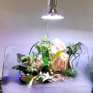 Planet Gates 220V 20W/40W Fish Tank Aquarium LED Light Aquatic Water Grass Plant Growth Lamp Turtle Reptile Lighting Clip-on New