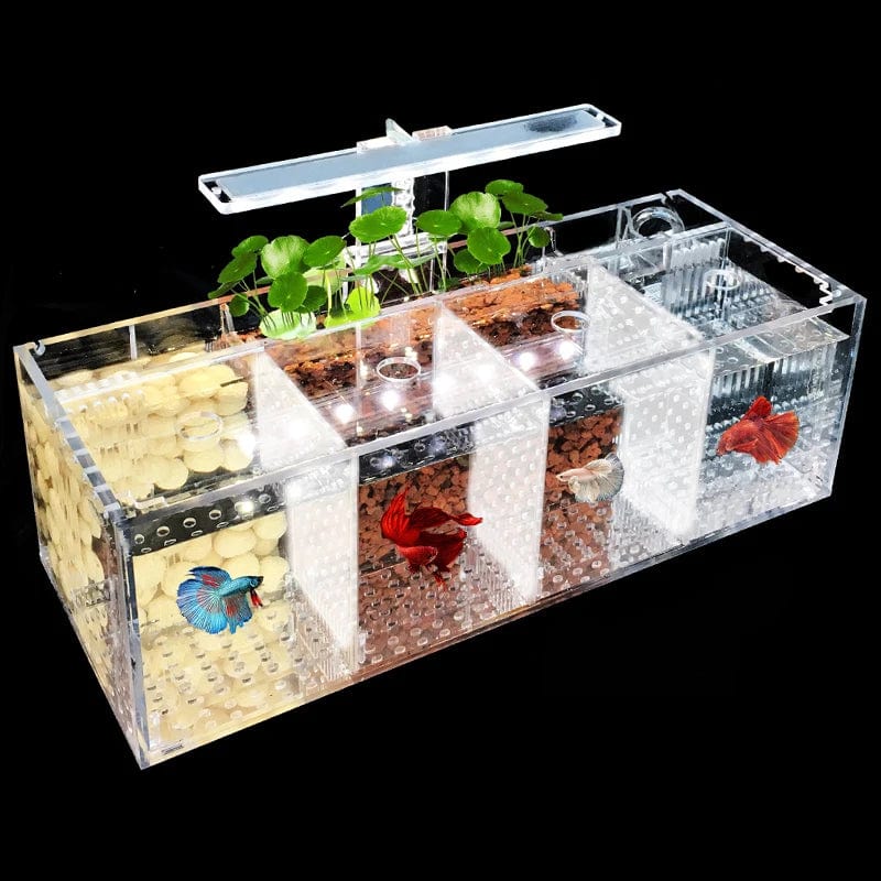 Planet Gates 220V Creative Betta Fish Tank Breeding Incubator Isolation Box Water-free Desktop Small Acrylic Ecological Aquarium Tank