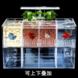 Planet Gates 220V Creative Betta Fish Tank Breeding Incubator Isolation Box Water-free Desktop Small Acrylic Ecological Aquarium Tank